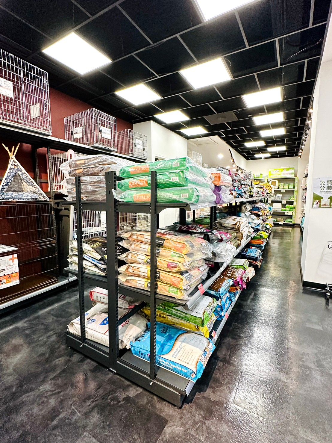 寵物公園_ (12).jpg